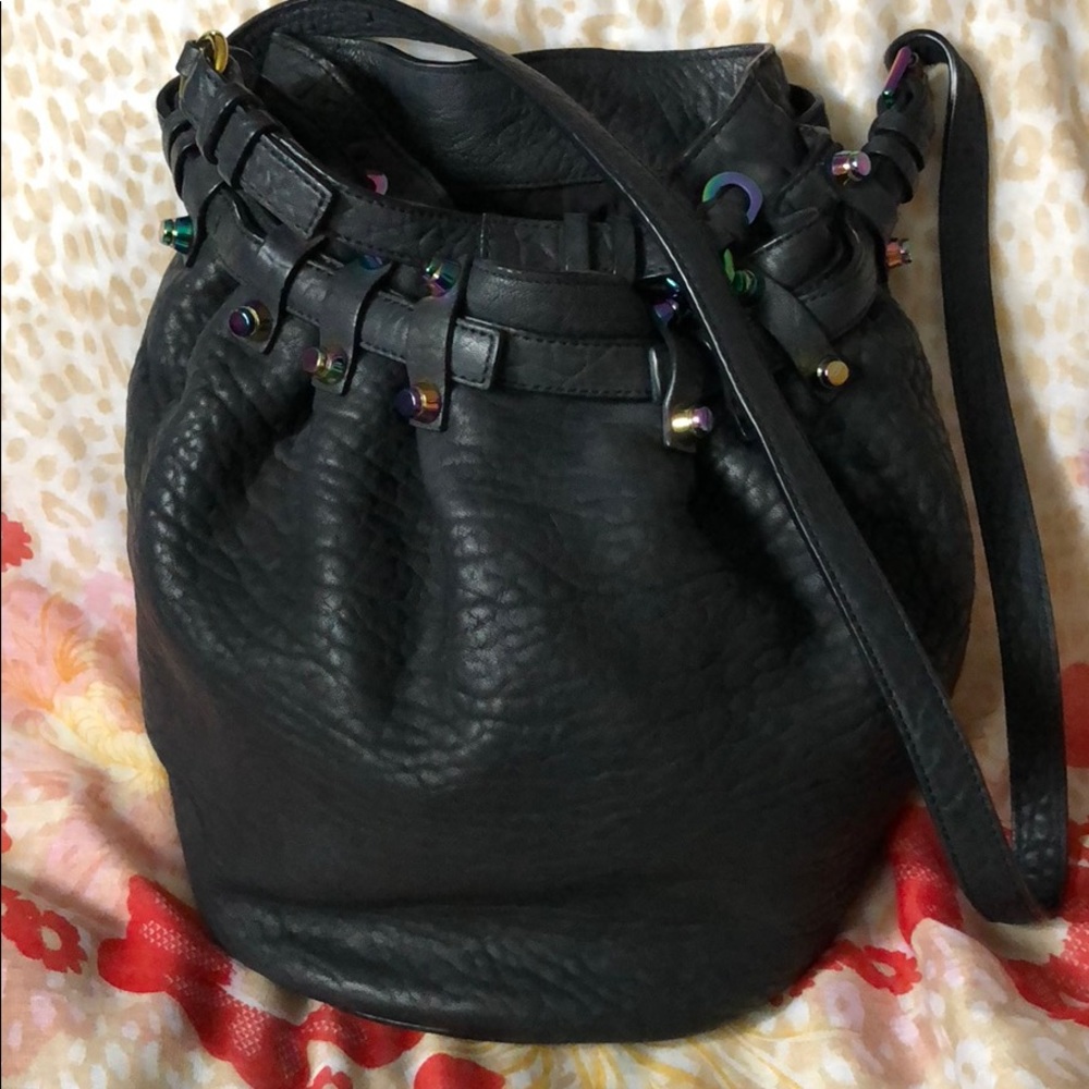 AUTHENTIC Iridescent Alexander Wang Large Diego